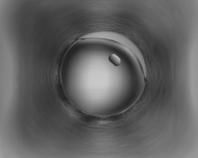 X0000110870360200906251233