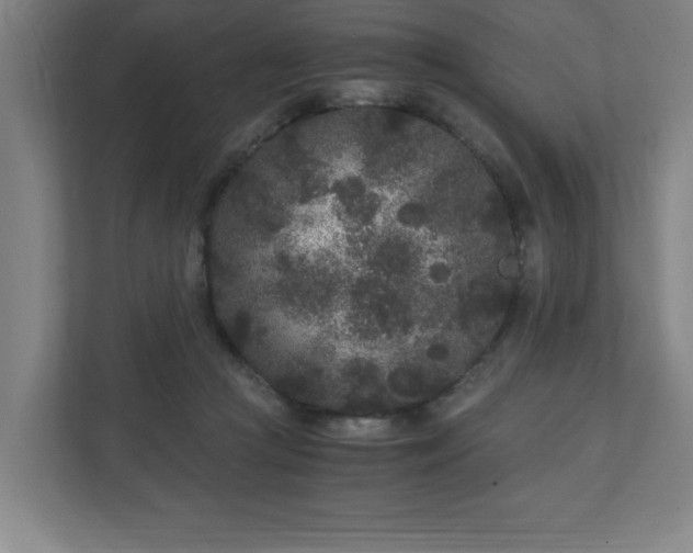 X0000110870361200906251233