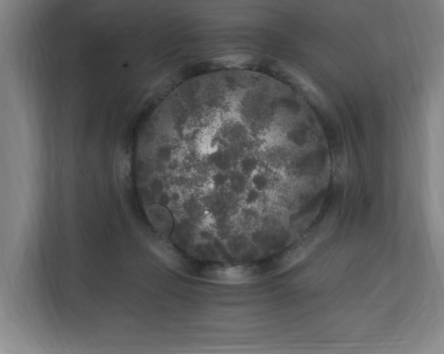 X0000110870365200906251233