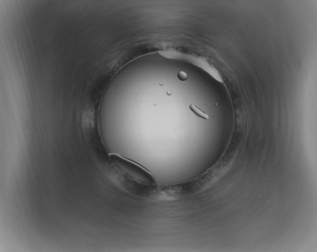 X0000110870368200906251233