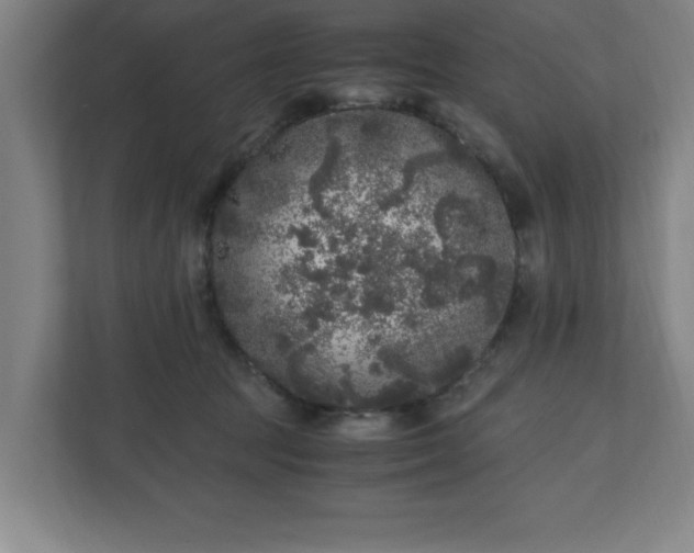 X0000110870369200906251233