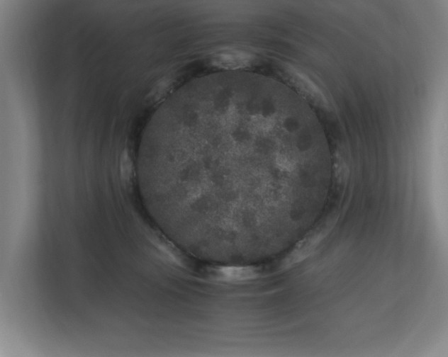 X0000110870371200906251233