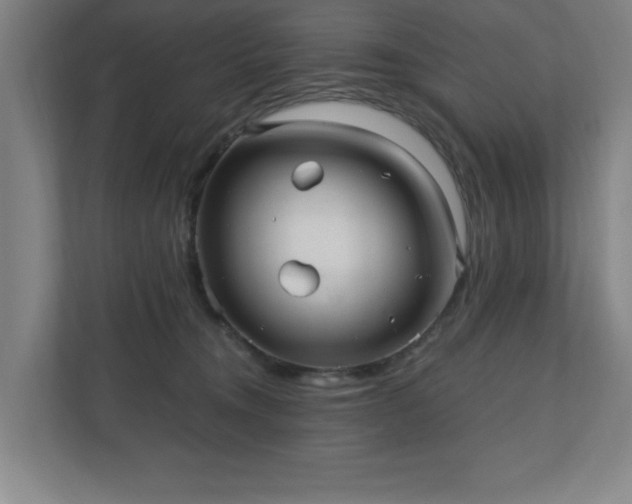 X0000110870372200906251233