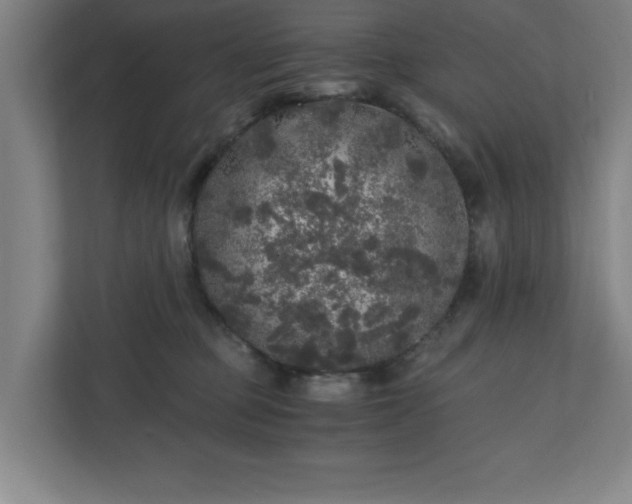 X0000110870373200906251233