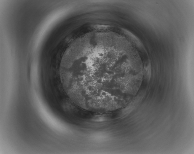 X0000110870381200906251233