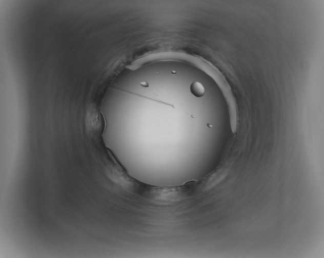 X0000110870384200906251233