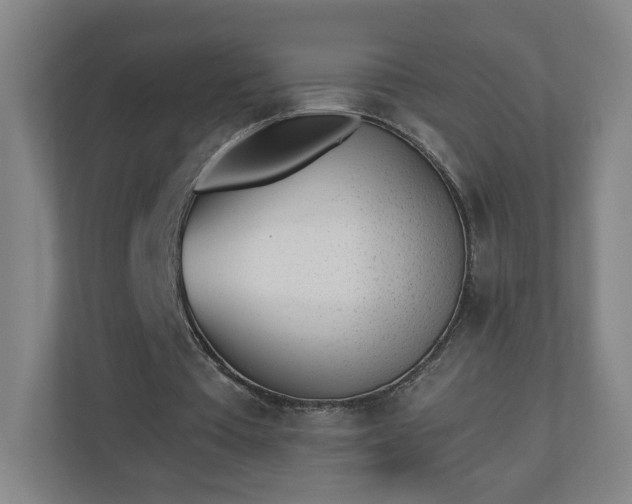 X0000110870385200906251233