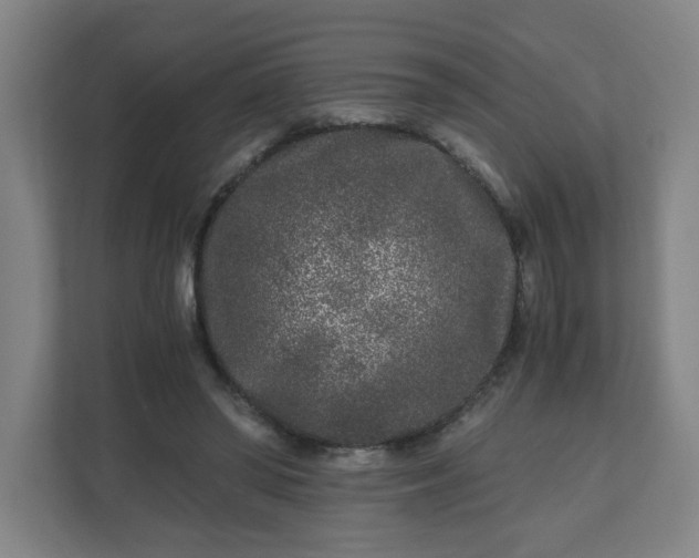 X0000110870398200906251233