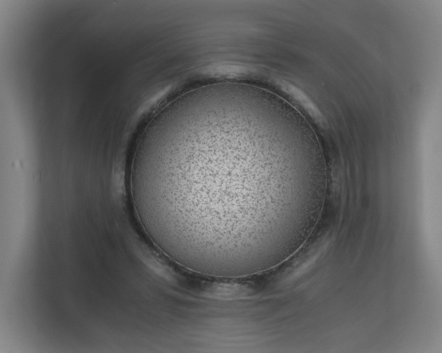 X0000110870399200906251233