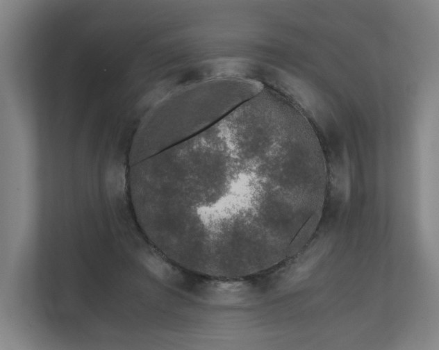 X0000110870401200906251233