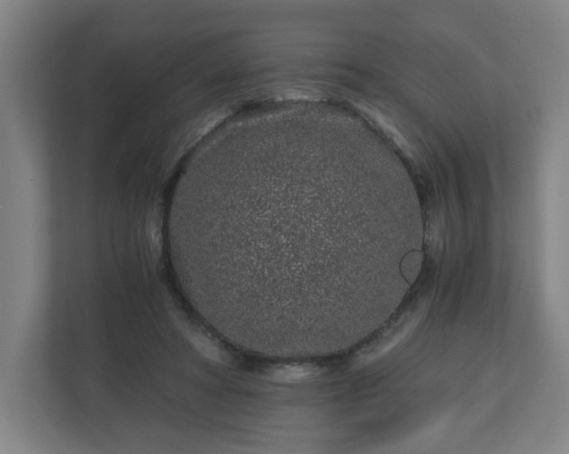 X0000110870402200906251233