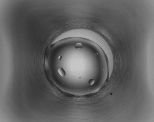 X0000110870407200906251233