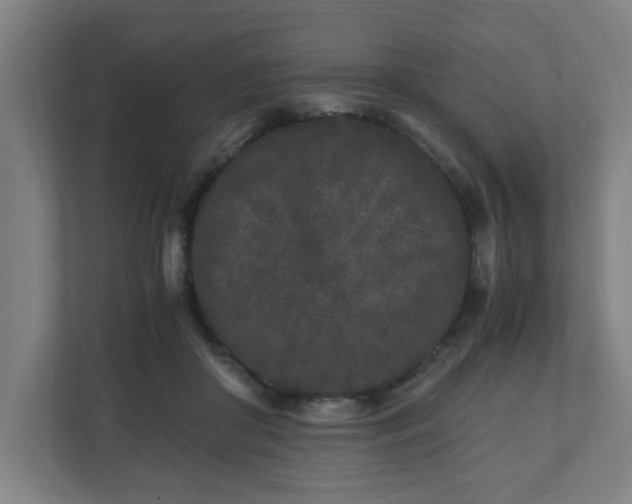 X0000110870410200906251233