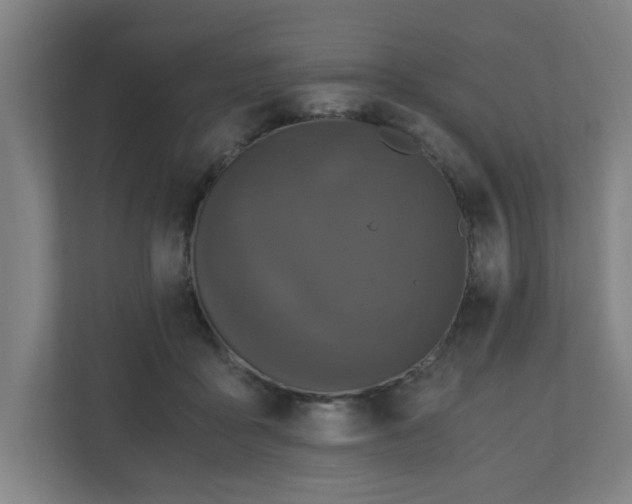 X0000110870411200906251232