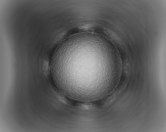 X0000110870420200906251232