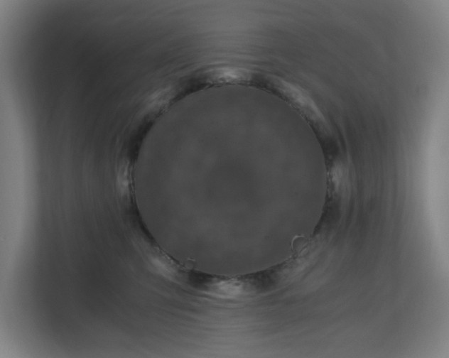 X0000110870423200906251232