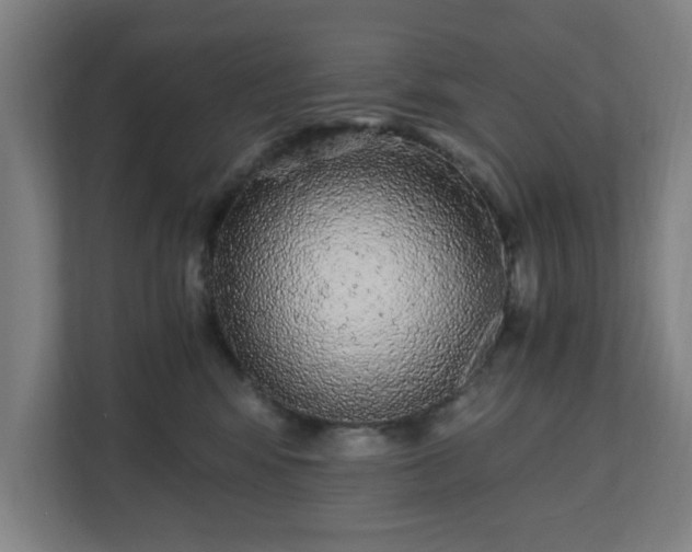 X0000110870424200906251232