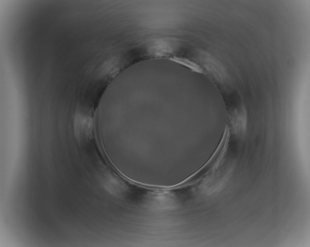 X0000110870427200906251232