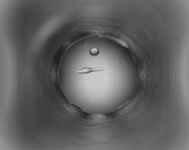 X0000110870429200906251232