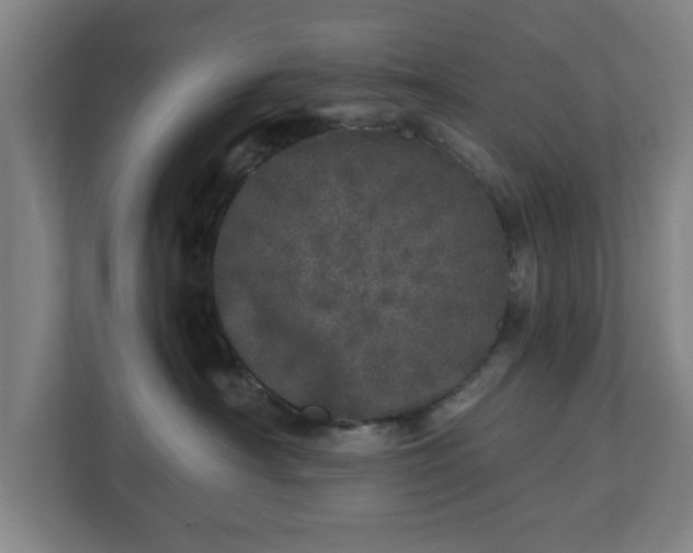 X0000110870430200906251232