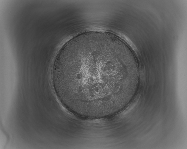 X0000110870433200906251232