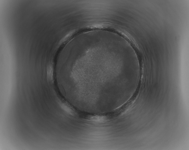 X0000110870444200906251232