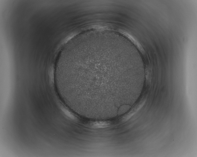 X0000110870445200906251232