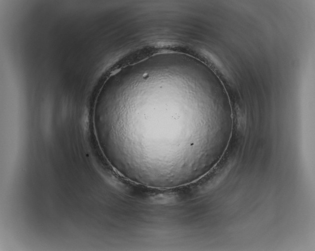 X0000110870447200906251232