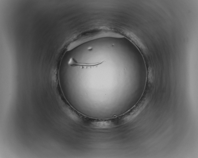 X0000110870449200906251232