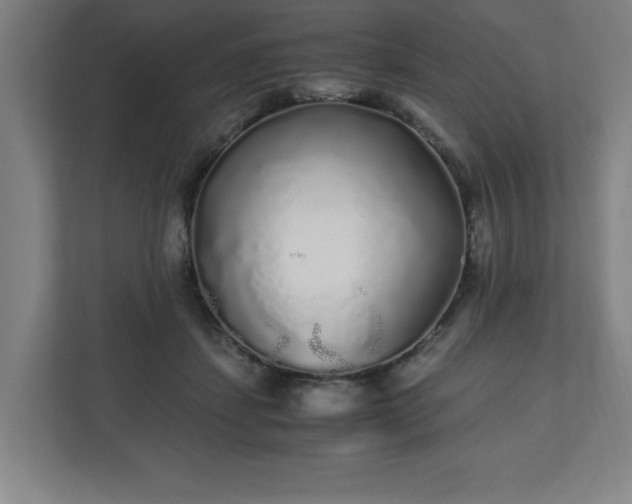 X0000110870459200906251232