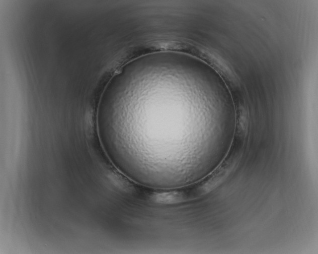 X0000110870461200906251232