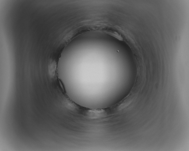 X0000110870480200906251232