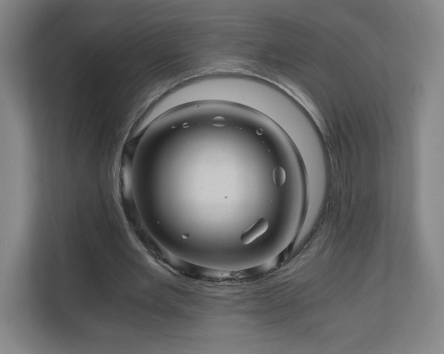 X0000110870485200906251232