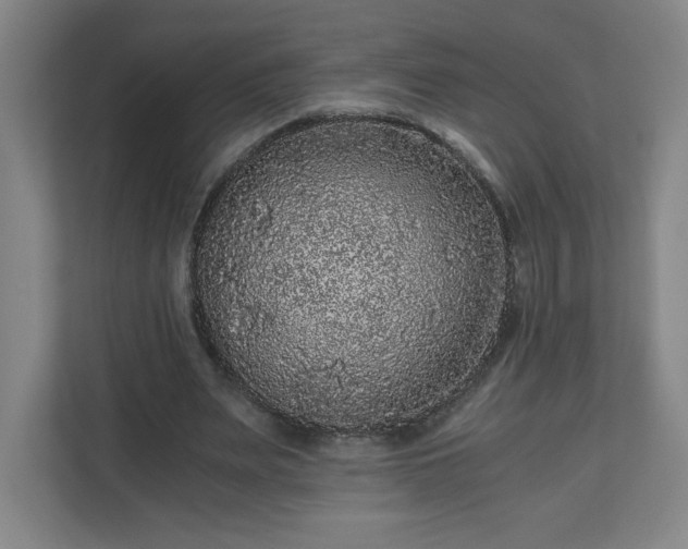 X0000110870487200906251232