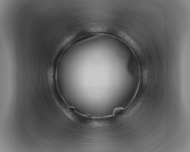 X0000110870490200906251231