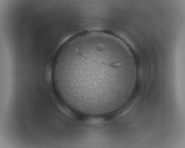 X0000110870491200906251231