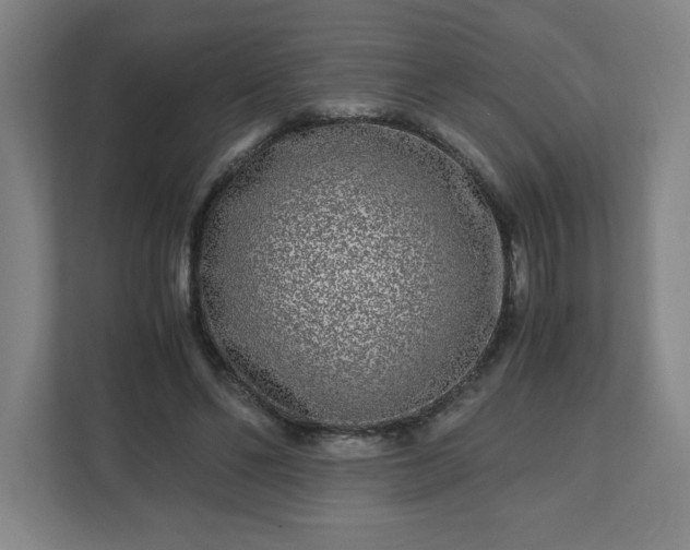 X0000110870494200906251231