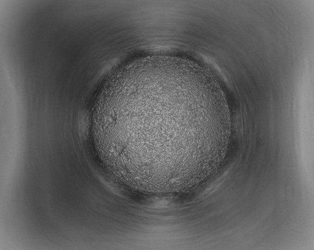 X0000110870495200906251231