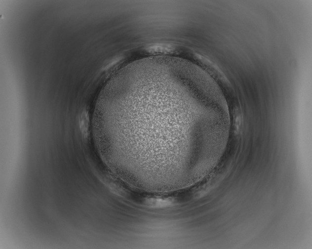 X0000110870498200906251231