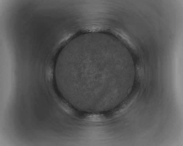 X0000110870499200906251231