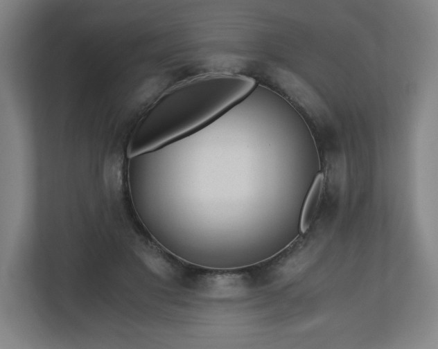 X0000110870501200906251231