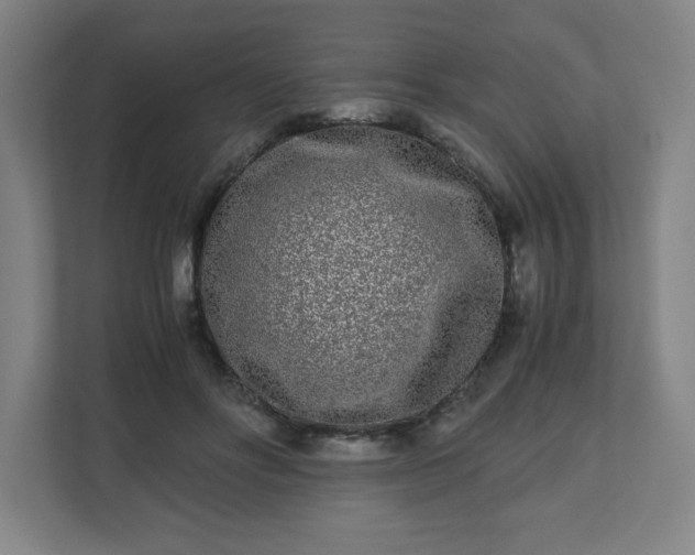 X0000110870502200906251231