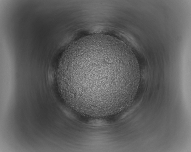 X0000110870503200906251231