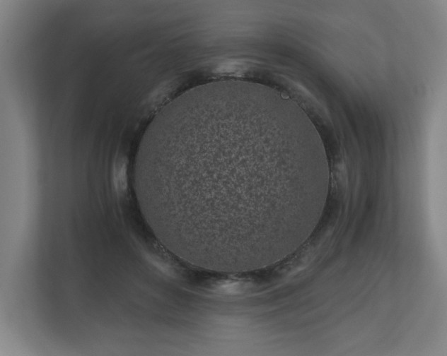 X0000110870504200906251231