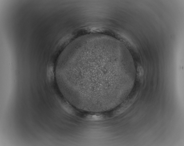 X0000110870506200906251231