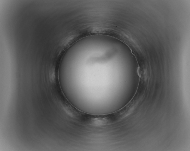 X0000110870508200906251231