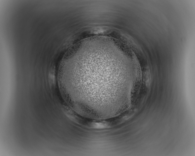 X0000110870510200906251231