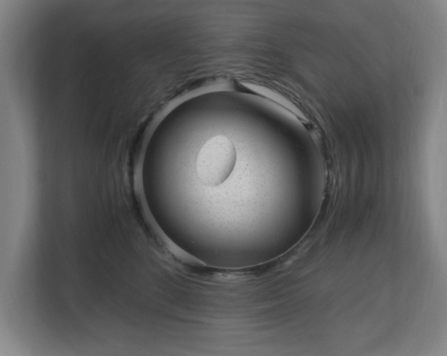 X0000110870520200906251231