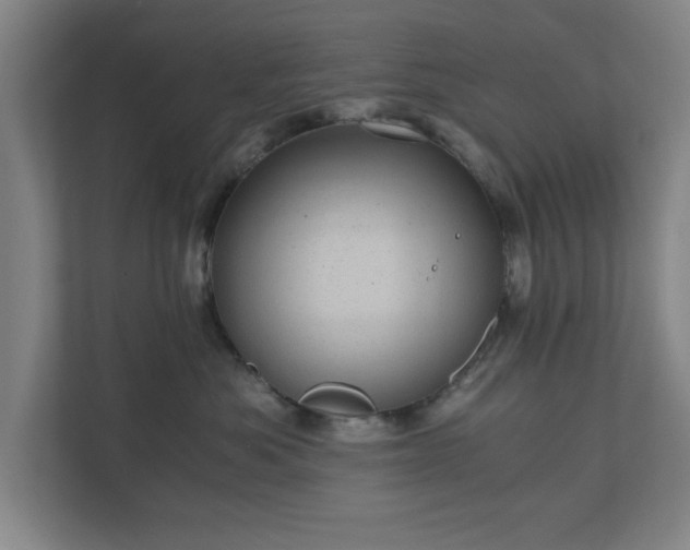 X0000110870525200906251231