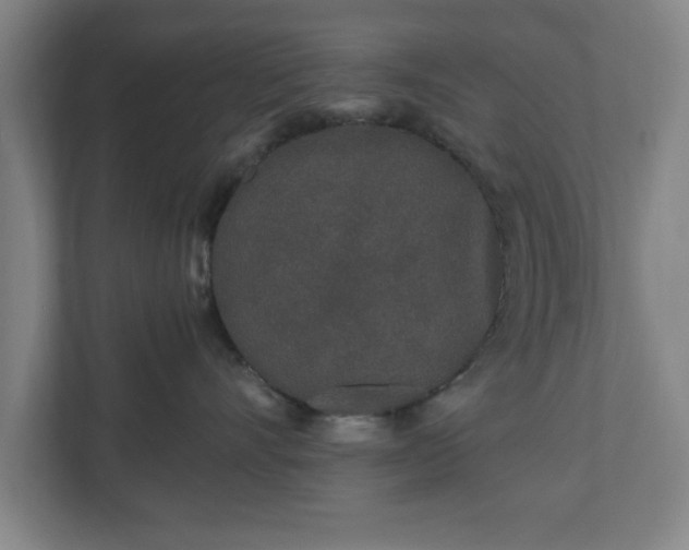 X0000110870528200906251231